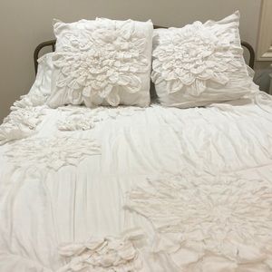 Anthropologie duvet and  two European Shames
